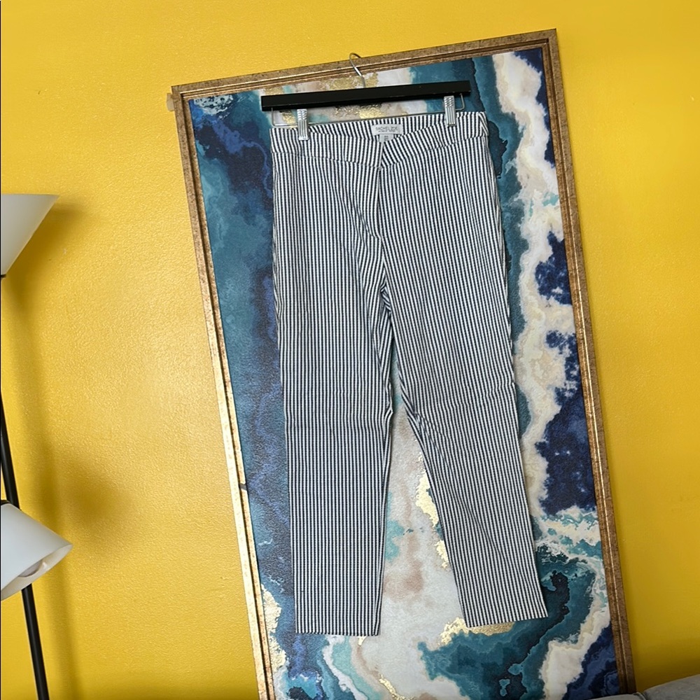 Rachel Zoe Striped Navy Blue and White Ankle Pants - Picture 3 of 8